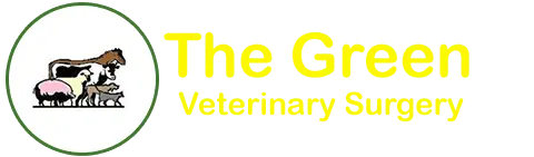 The Green Veterinary Surgery